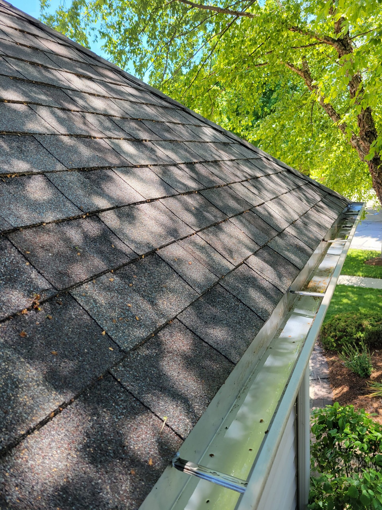 Prevent Costly Home Damage with Professional Gutter Cleaning in Sycamore