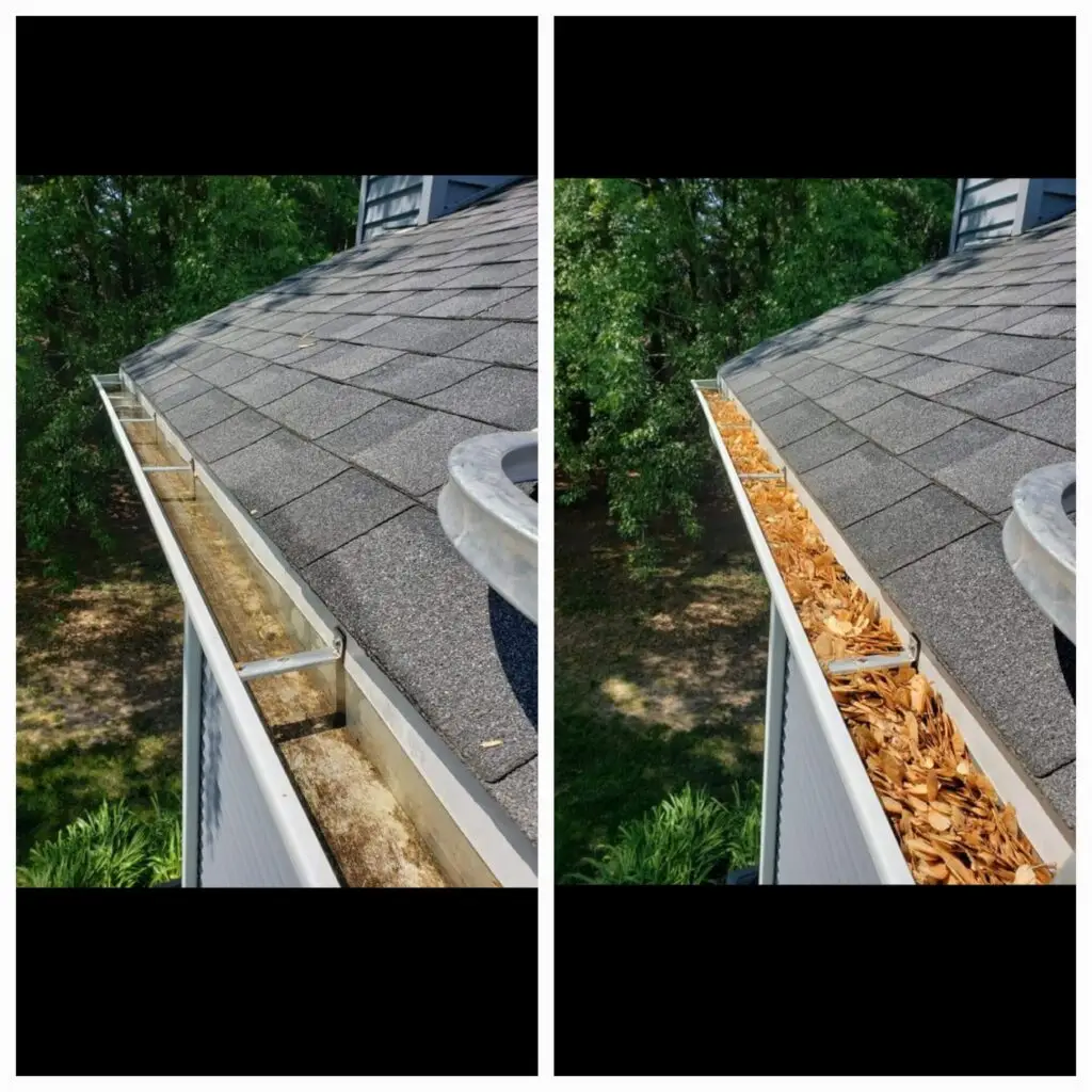 Gutter cleaning