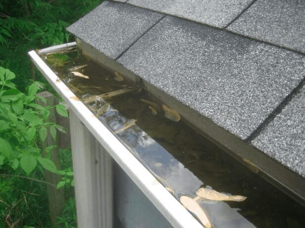 Gutter Cleaning in Naperville: Protect Your Home from Water Damage Year-Round